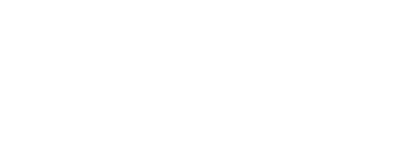 Data Storage & Associated Solutions Provider For The Creative Industries
